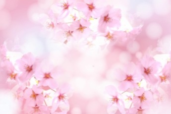 イメージ写真：桜
