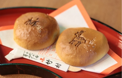 イメージ写真：千代の舎 竹村の奈良饅頭