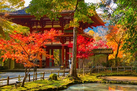 イメージ写真：女人高野 室生寺の紅葉