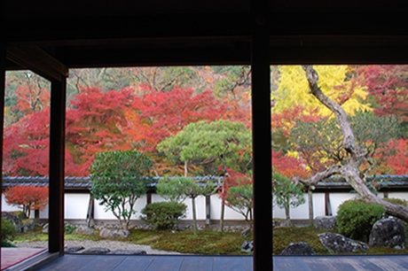 イメージ写真：吉野山の紅葉