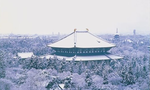 イメージ写真：冬日和、奈良びより