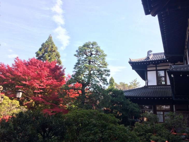 奈良ホテルの紅葉