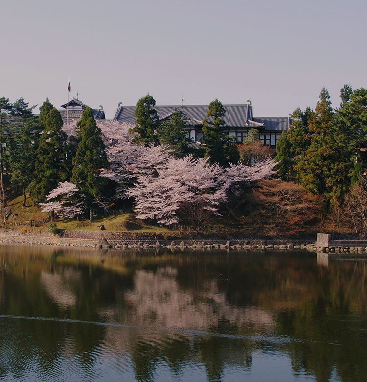 写真：奈良ホテル全景