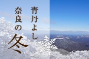 イメージ写真：青丹よし 奈良の冬