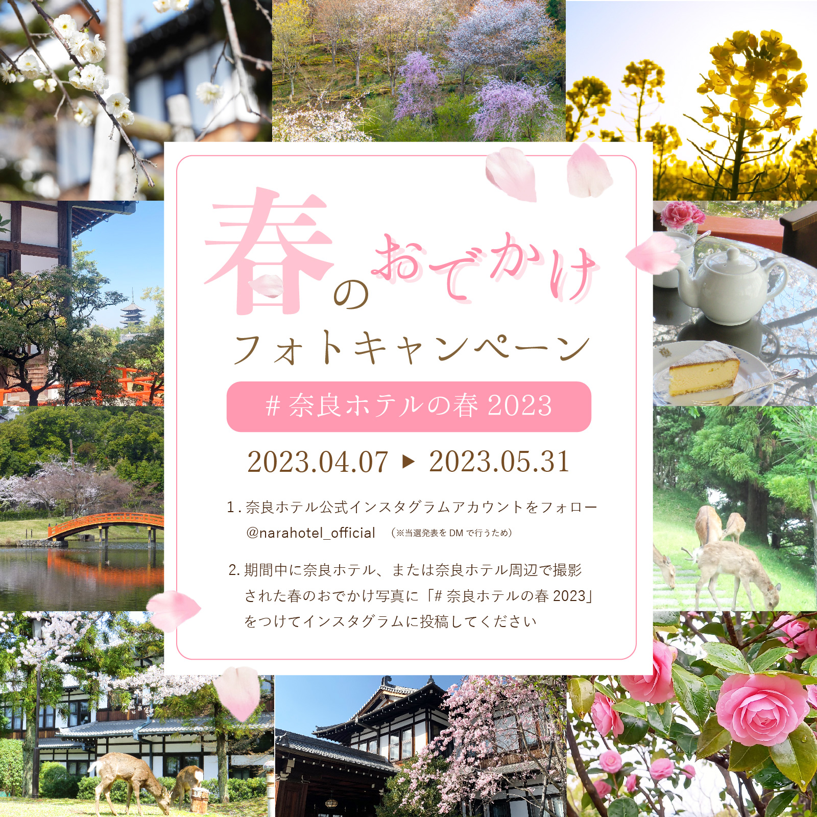 春のおでかけフォトキャン_アートボード