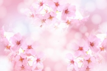 イメージ写真:桜