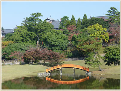 名勝 旧大乗院庭園