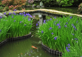 イメージ写真：法華寺/国史跡 名勝庭園