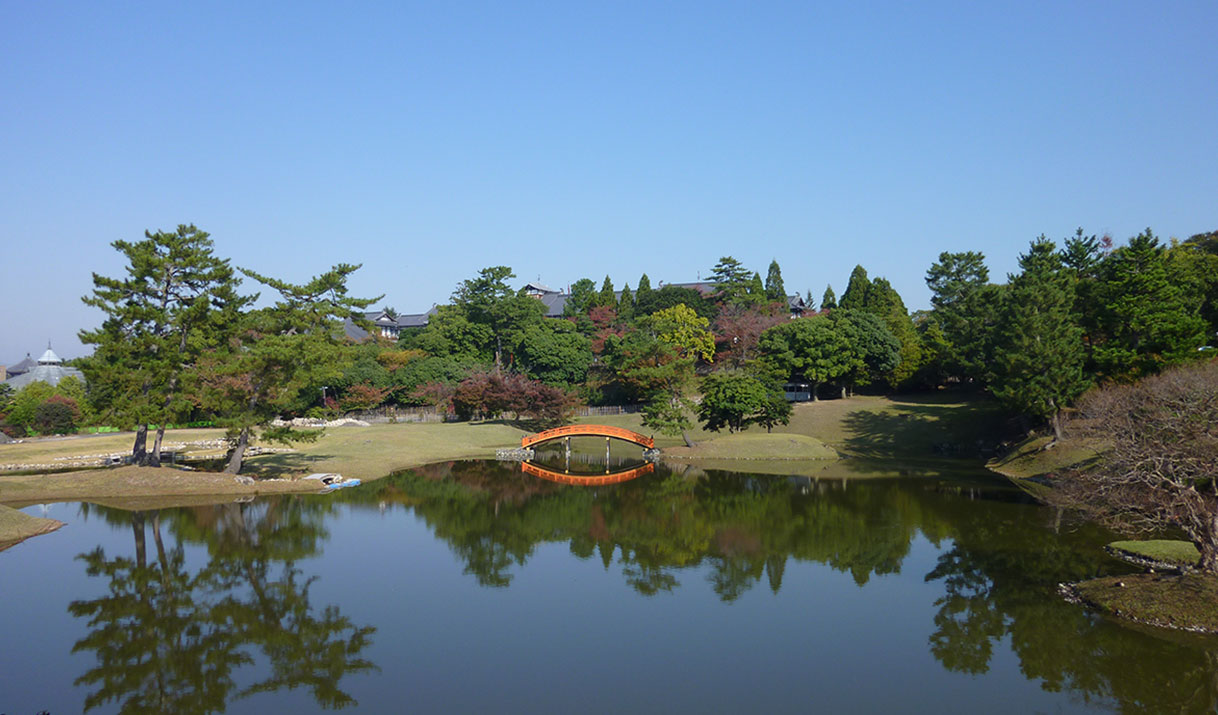 写真：名勝 旧大乗院庭園（夏）