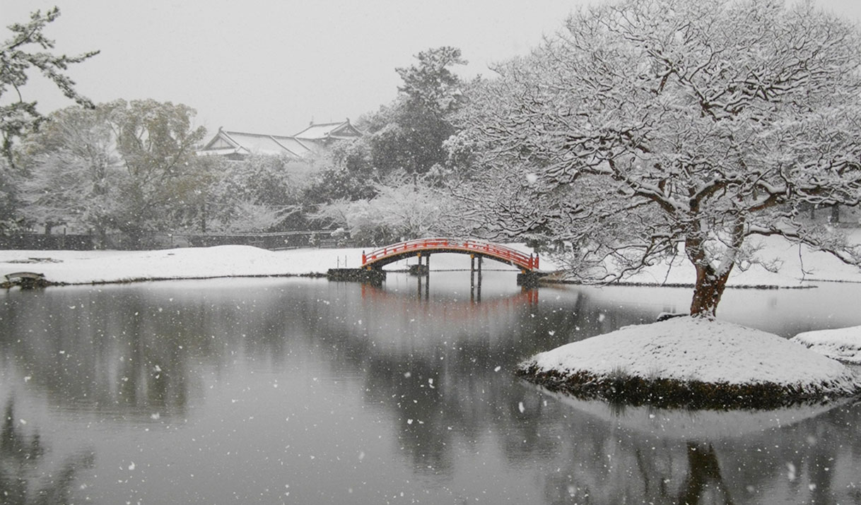 写真：名勝 旧大乗院庭園（冬）