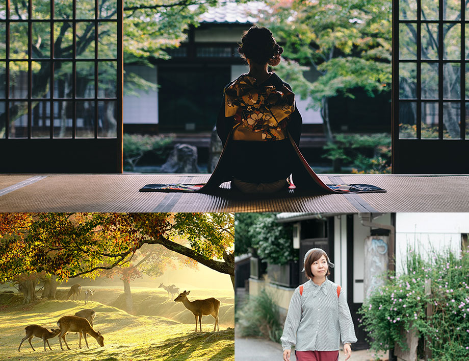 写真：宿泊プランのツアーイメージ